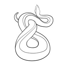Snake illustration isolated on white background