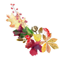 Watercolor fall arrangement of foliage and fruit - 287954135