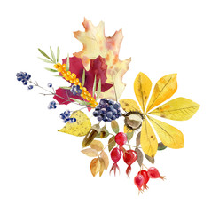 Watercolor fall arrangement of foliage and fruit - 287954136