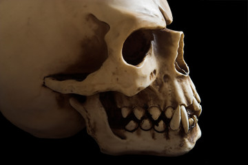 Naklejka premium Simple skull