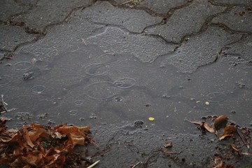 rain is falling in a small puddle on the street
