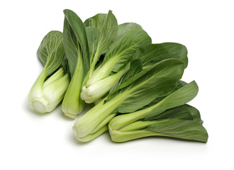 Pok Choi on white background