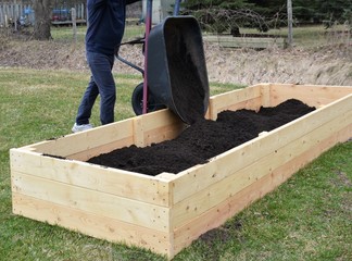 Filling up newly constructed raised garden boxes with soil