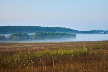 A field with dense fog that lies in a lowland.