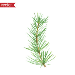 Naklejka na ściany i meble Watercolor pine twig. Vector illustration of green branch with needles isolated on white background.