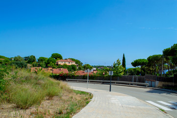 Obraz premium view of the park