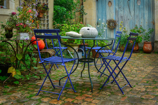 Garden decorated with autumn flowers, pumpkins, plants