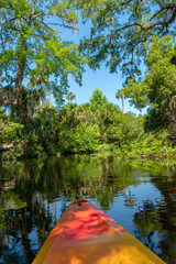 Kayaking on Juniper Springs Creek, Florida	