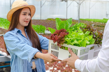 young friendly woman farmer smiling and giving box and selling organic hydroponic fresh vegetable produce to business man customer in greenhouse garden nursery farm, farming, healthy food concept