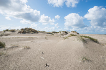 Dünenlandschaft auf der Insel Römö