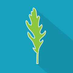 arugula, rucola leaf icon- vector illustration