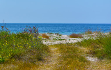 country road leading to the blue sea through the steppe grass