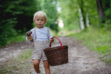Adorable child, little boy picking mushroom in basket