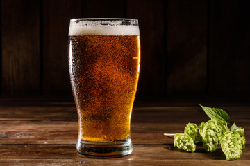 Glass of light beer on a dark pub. Glass beer on wood background with copy space