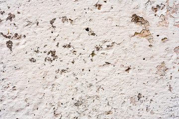 Texture of a concrete wall with cracks and scratches which can be used as a background