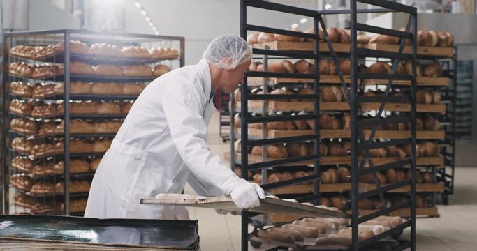 Professional baker old man good looking take the big tray full of raw bread and load in to the shelves to get ready for transport them in to the oven to be baked
