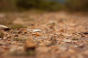 macro detail of soil with small stones in orange and gray