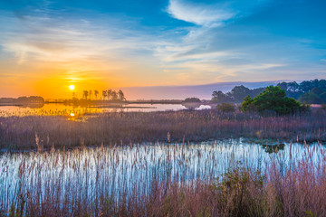 Sunrise Over The Salt Marsh