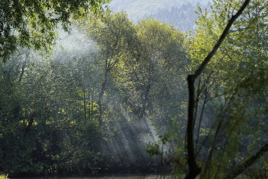 Landscape, Billows of fog or smoke over the water near the forest in sunlight and shadows. play of light, iridescence. natural background, screensaver, textures.