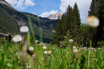 Landscape South Tirol