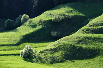 Landscape South Tirol