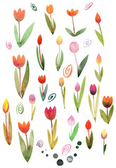 Fototapeta na wymiar Floral Seamless Pattern with Watercolor Tulips. Spring Background with Blossom Flowers for Fabric, Wallpaper, Posters, Banners.