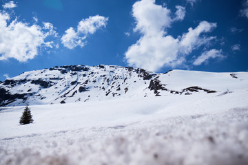 Mountains in South Tirol Italy