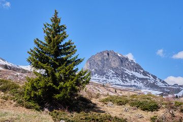 Obraz premium Mountains in South Tirol Italy