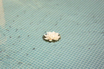 Swimming pool with stair and wooden deck at hotel.