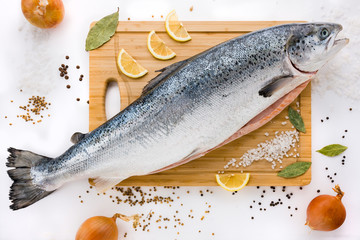 Salmon. Fresh fish on the cutting Board.
