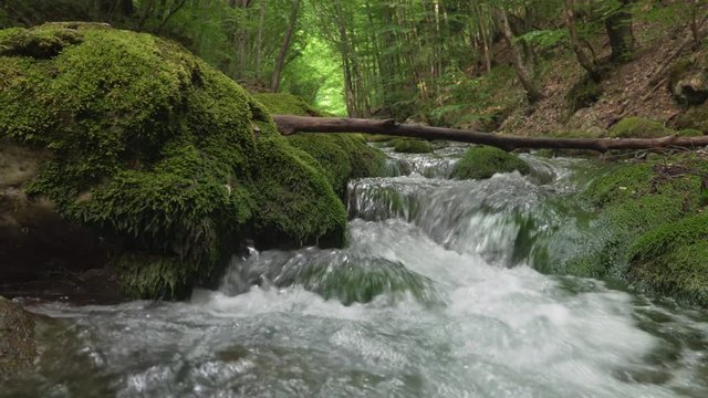 Spring rill flow into canyon. Green forest and clean water in river. Nature composition.