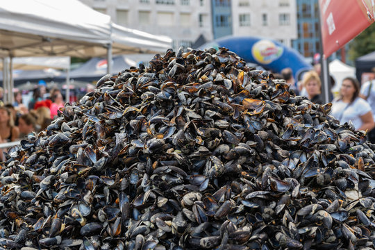 Great Lille Braderie (Braderie de Lille).Large pile of shells from eaten mussels, traditionally built on Great Lille Braderie.