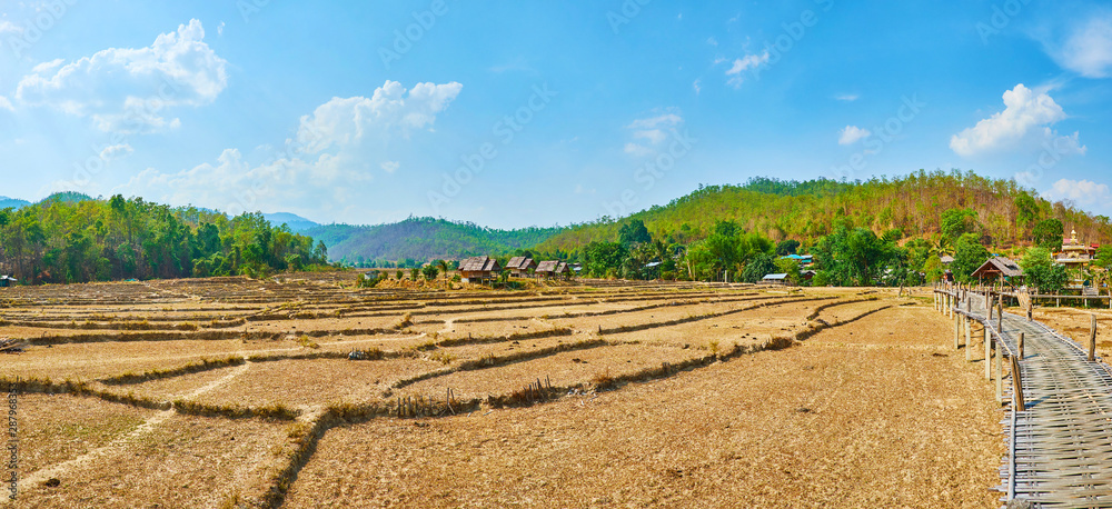 Poster Panorama of dried paddy fields and Boon Ko Ku So bamboo bridge, Pai, Thailand