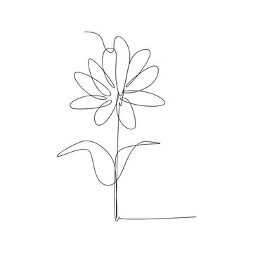 continuous line drawing of flower. isolated sketch drawing of flower line concept. outline thin stroke vector illustration