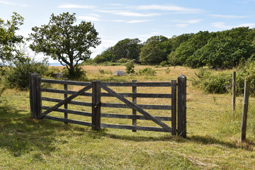 Wooden gate by a pastureland in summer season