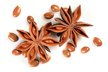 Star anise. Two star anise fruits with many seeds. Macro close up Isolated on white square background with shadow, top view of chinese badiane spice or Illicium verum.