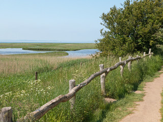 Fototapeta premium weite Landschaft an der Ostseeküste