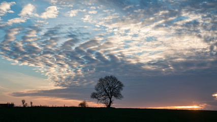 Sunset in the Fields