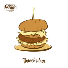 Colored drawing of Brioche bun bread