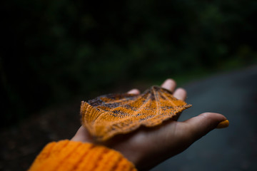 Leaf hand woman orange