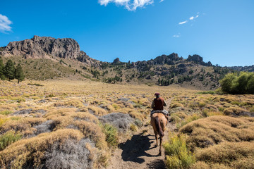 Poor Lonesome cowboy
