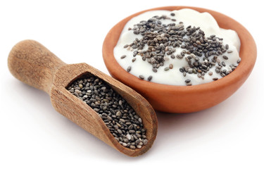 Yogurt in a bowl with chia seeds