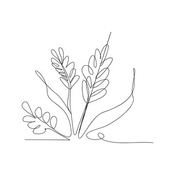 recommend clip art: continuous line drawing of rice ears and grains. isolated sketch drawing of rice ears and grains line concept. outline thin stroke vector illustration