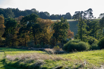 Fototapeta na wymiar Evening views of fields and trees in the early autumn near Shenington, Oxfordshire