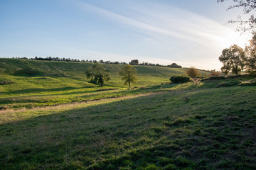 Fototapeta na wymiar Evening views of fields and trees in the early autumn near Shenington, Oxfordshire