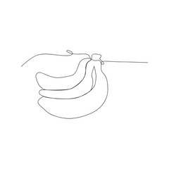 continuous line drawing of bananas. isolated sketch drawing of bananas line concept. outline thin stroke vector illustration