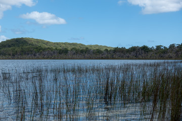 Lake Boomajin on Fraser Island Queensland on a clear sunny day with white clouds