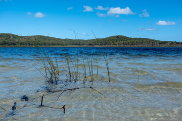 Lake Boomajin on Fraser Island Queensland on a clear sunny day with white clouds