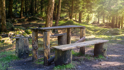 Summer forest sunshine picnic wooden table and bench relaxation