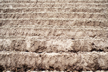 Ploughed field. Treatment and fertilization of land, soils. Agriculture